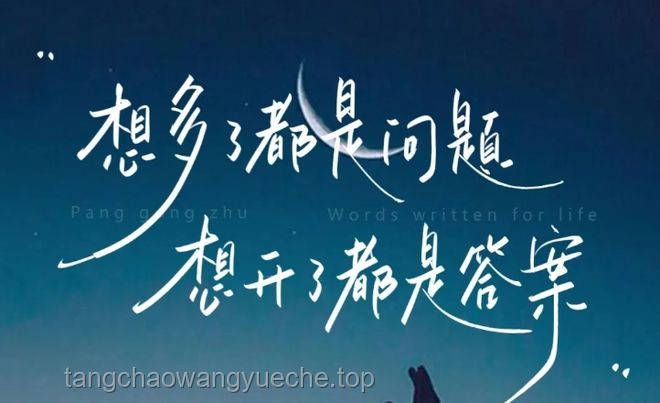 “曾经我也想过一了百了”与积极生活态度的对比分析：心理状态、人生选择与社会影响